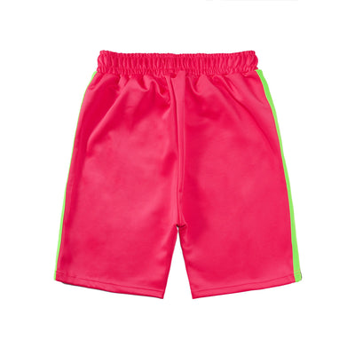 Palm Shorts