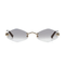 Polychromatic Sunglasses