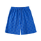 Lv Shorts